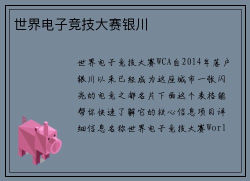 世界电子竞技大赛银川